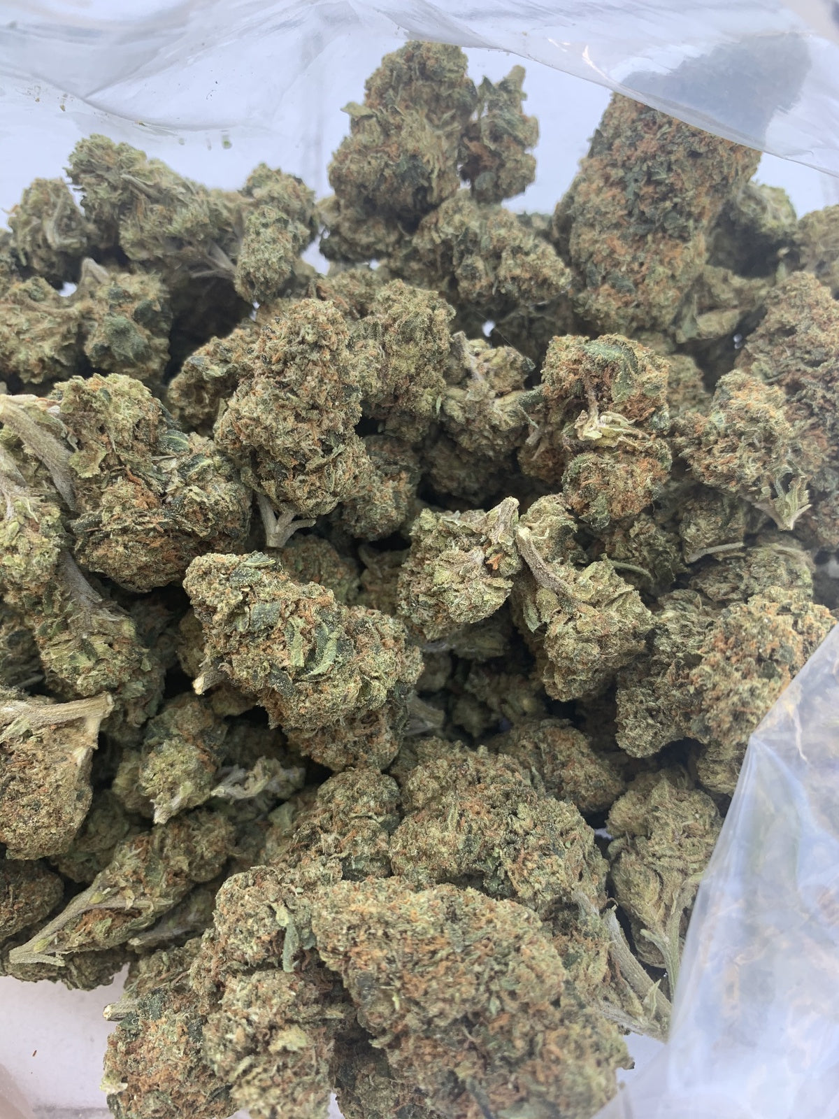 Platinum Cookies (Hybrid) Feminized Photoperiod Cannabis Seeds - 5 Pack